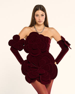Dress rouge velvet