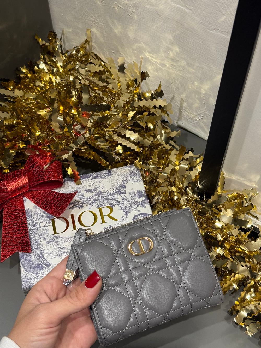 Portacarte in pelle Dior grigio