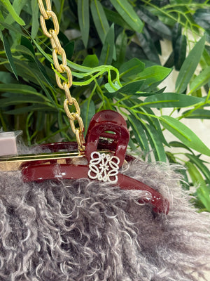 Pinza Loewe Borgogna strass misura big