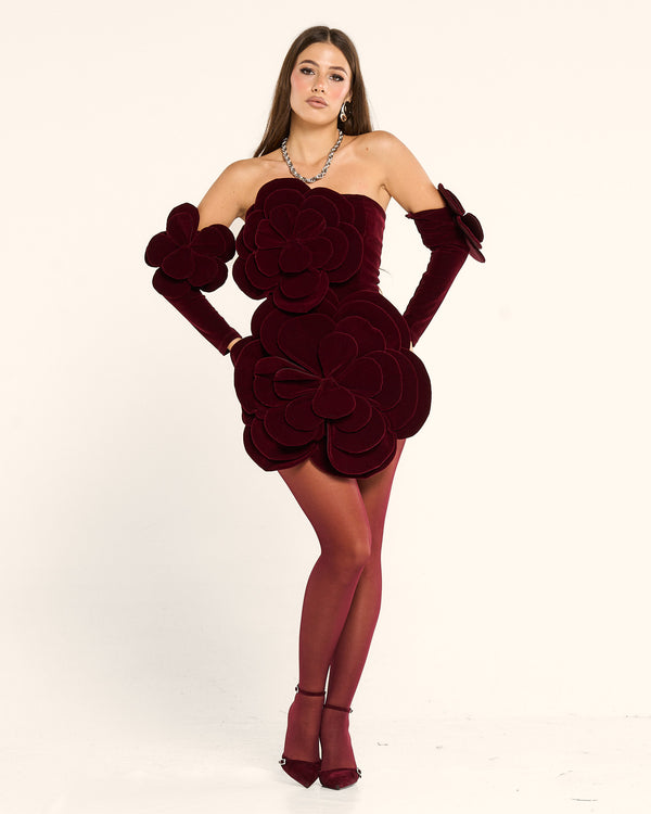 Dress rouge velvet